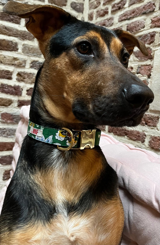 Le collier Lutin